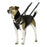 Arnés para Perro Company of Animals Halti Talla S (26-36 cm)